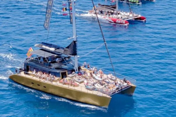 Catamaran Freebird