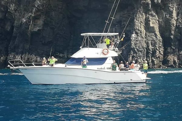 barco de pesca